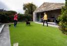 Always Green - Artificial Grass - Summer Lawn