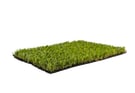 Always Green - Artificial Grass - Summer Lawn 22Mm