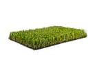 Always Green - Artificial Grass - Summer Lawn 30Mm