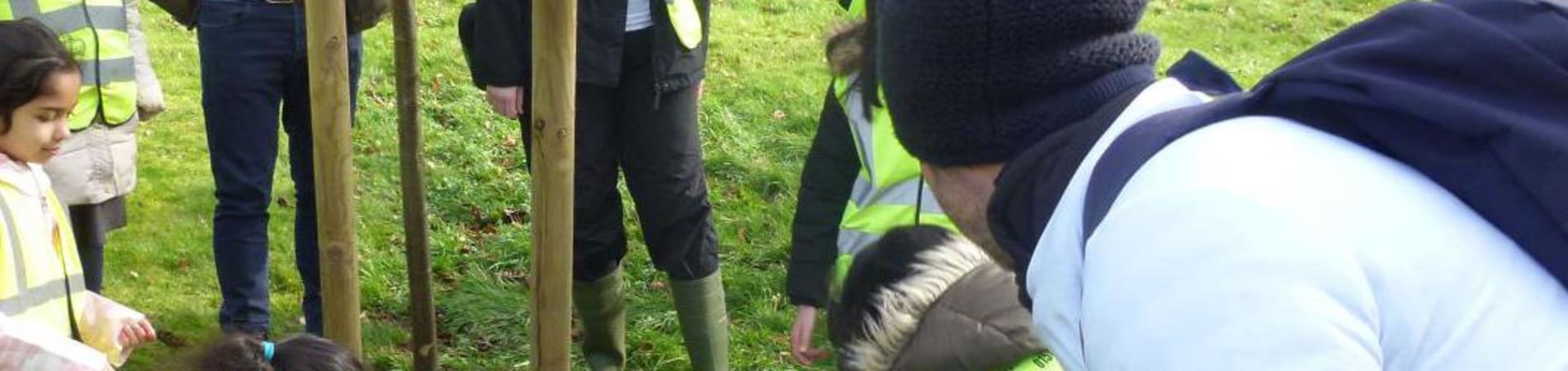 Supporting tree planting with the Landscape Institute