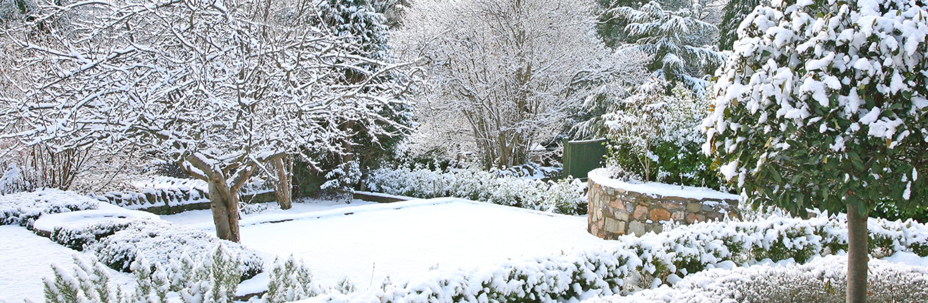 How To Prepare Your Garden For Winter Marshalls Marshalls