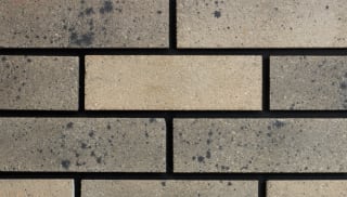 Poole Platinum Facing Bricks