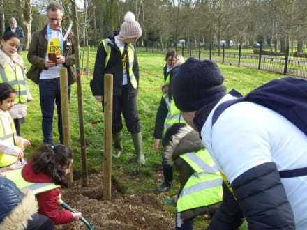 Supporting tree planting with the Landscape Institute