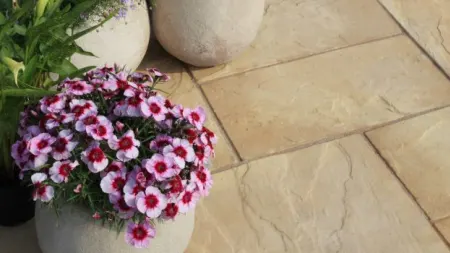 Flower pot placed on buff coloured paving