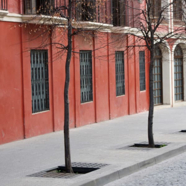 yarg tree surround