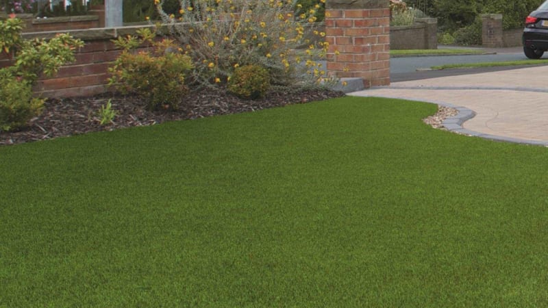 Always Green - Artificial Grass - Summer Lawn