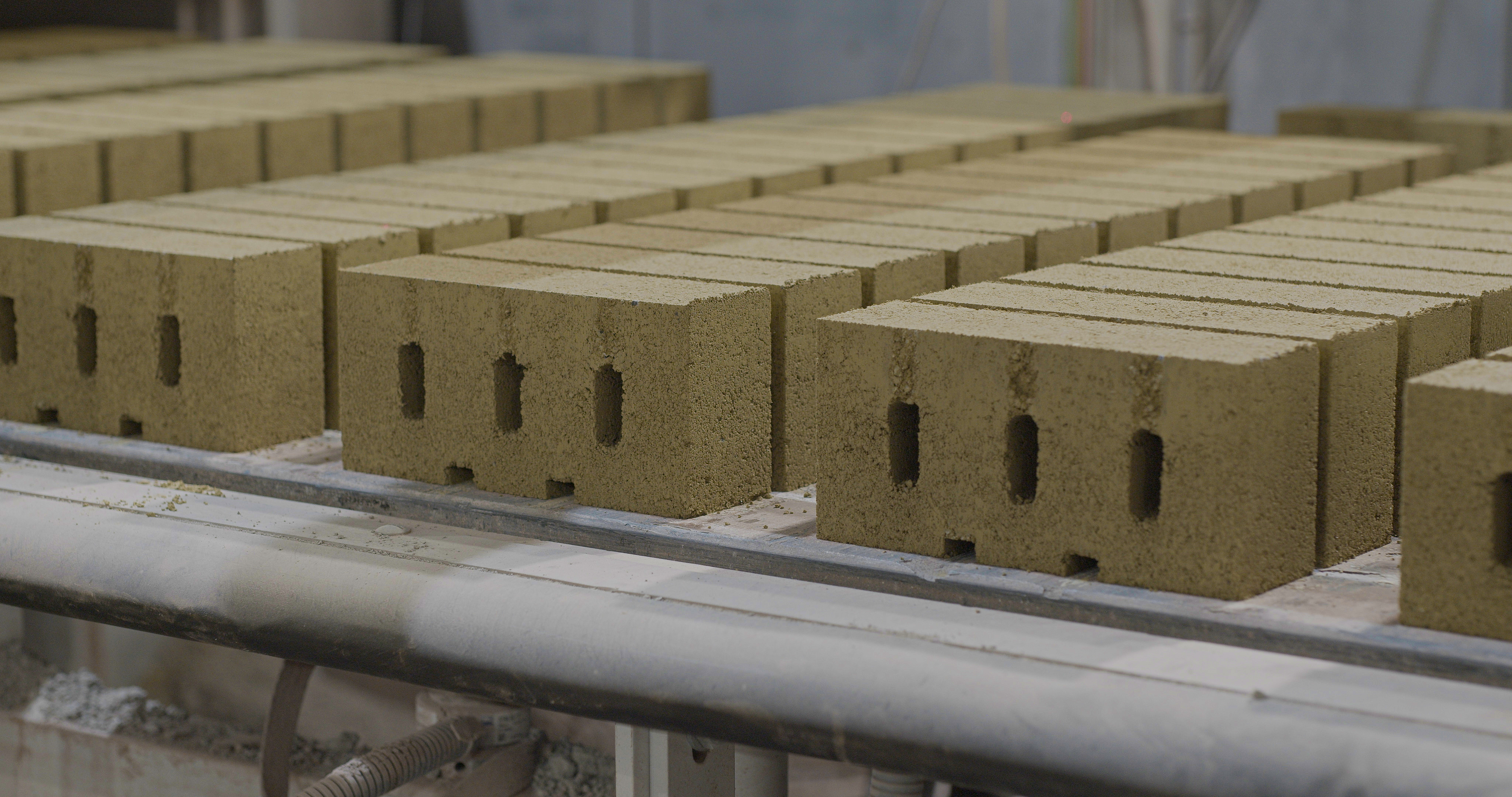 Carbon cure bricks