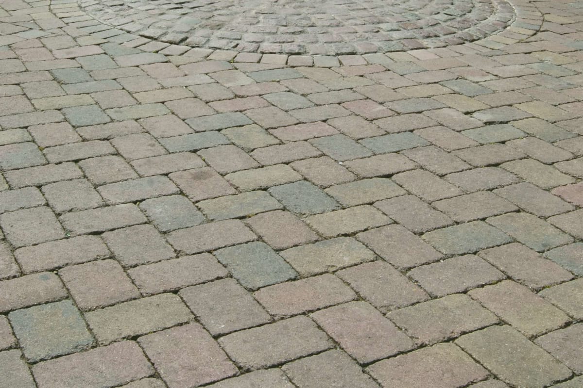 tegula red/charcoal- loughborough