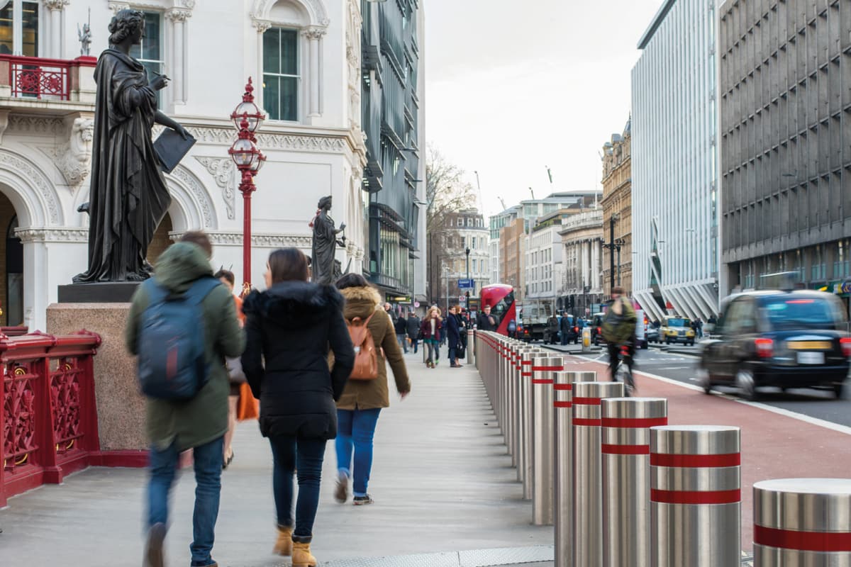 rhinoguard 75/30 stainless steel protective bollards