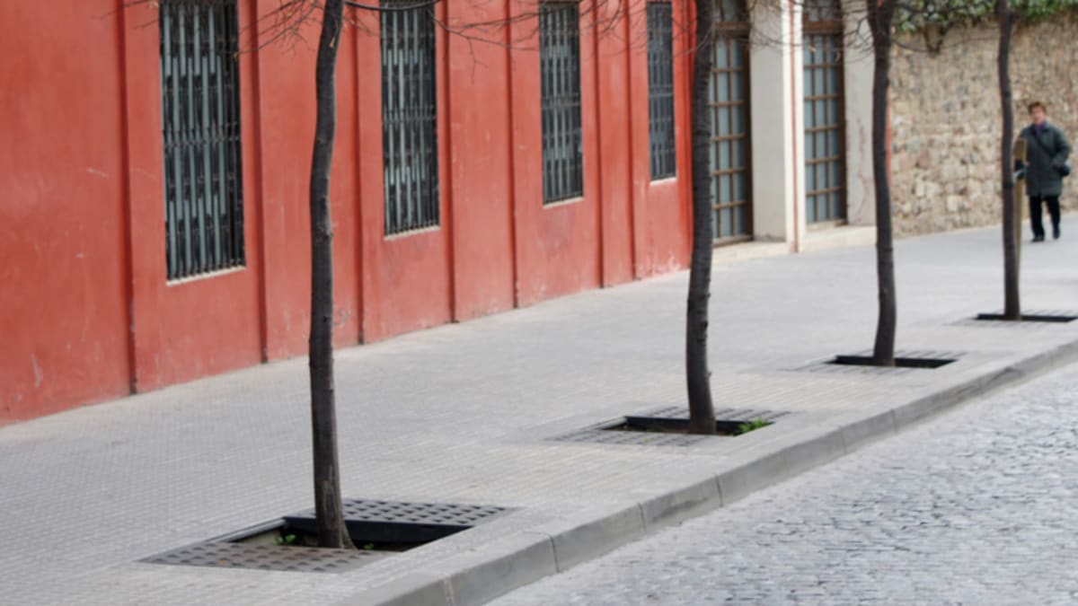tree surrounds in paving next to a red building