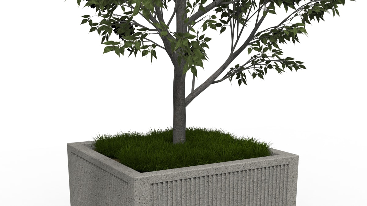 planter with a tree on a white background