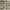 Contemporary Range Holbrook Multi Facing Brick Swatch Panel
