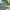 British Standard Kerb