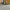Modal X® Paving