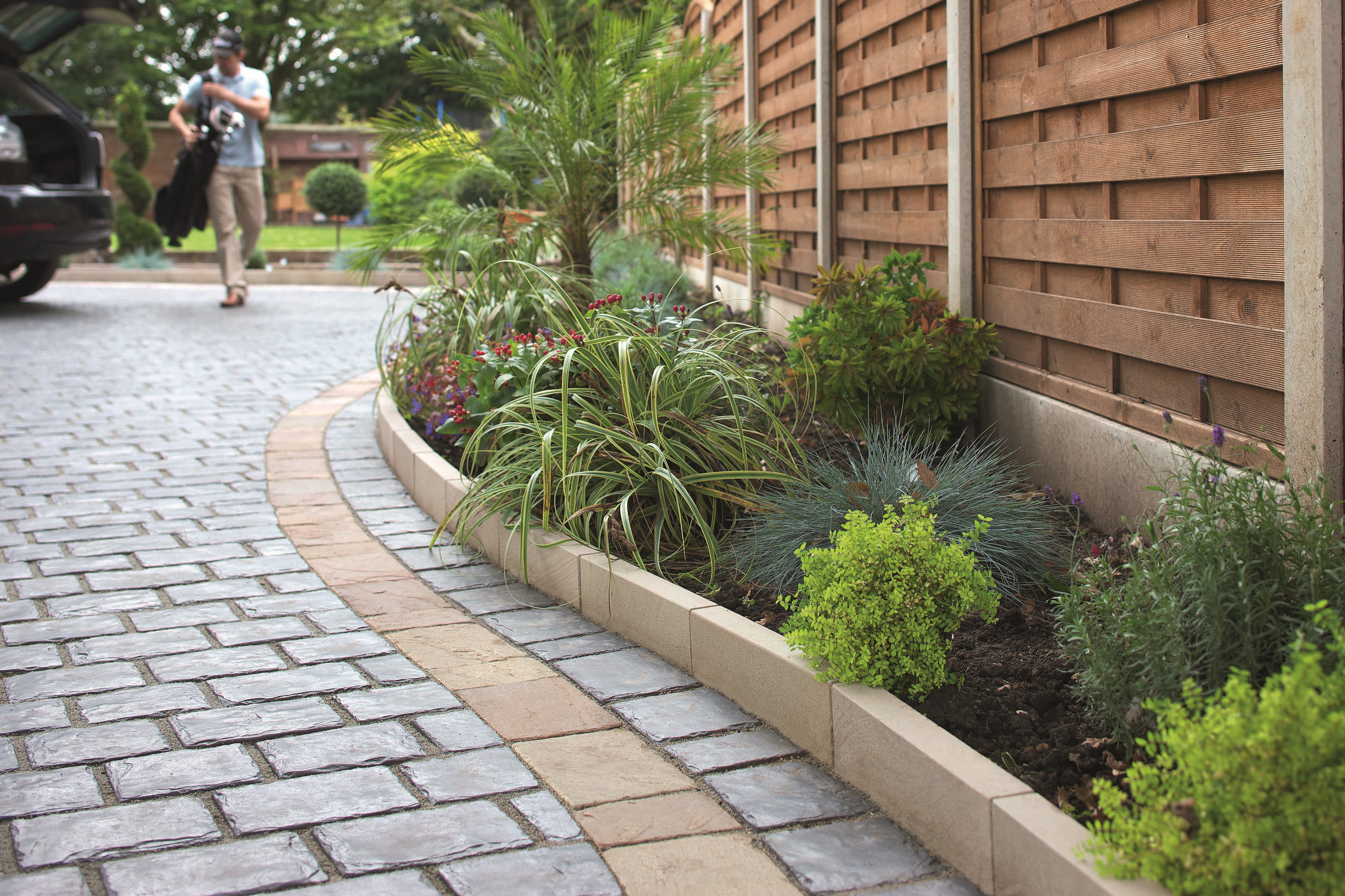 Plants within a garden border