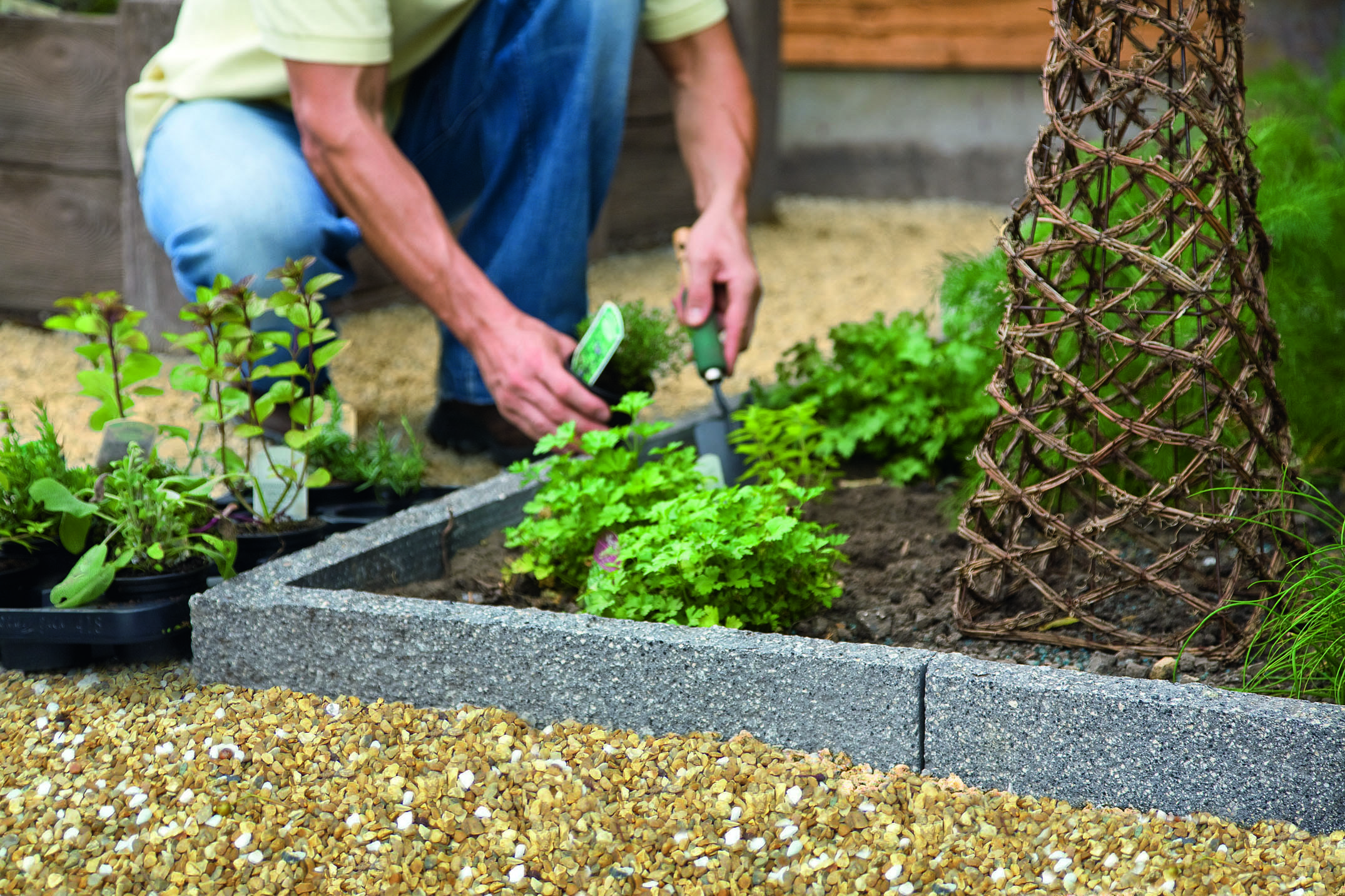 someone kneels down the plant flowers in a flower bed bordered by grey stone