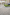 Conservation X Kerb