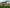 Darlstone Buff Black Pitched Walling