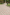 tegula traditional laid as a pathway