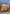 Peakdale Scarborough Sunrise Facing Brick shown installed on a house