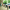 Wexham Bollard