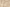 Infinia Patio swatch in Sandstone colour
