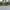 Farnley® Setts