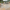 Marshalls Indian Sandstone