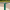 RB123 Bollard