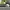 Argent® Walling