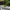 Argent® Coping / Edging