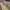 Black & Yellow Speed Bump