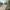 Carto
