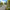 Carto® Paving