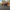Drivesys® Original Cobble