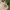 Indian Sandstone Circle