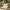 Fairstone Sawn Versuro® Linear